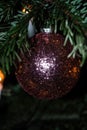 Image of a festive purple Christmas ball ornament suspended from a tree branch Royalty Free Stock Photo