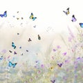 image of a field of wildflowers with butterflies flitting among them.