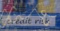 Image of financial data processing over credit risk writing