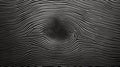 image fingerprint texture