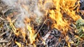 Image of fire burning and smoke