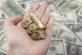 Image of fish hand money background