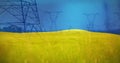 Image of flag of ukraine over field and electricity poles Royalty Free Stock Photo