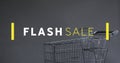 Image of flash sale text over shopping trolley