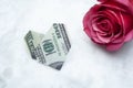 Image of flower money snow background