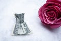 Image of flower money snow background