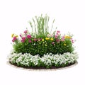 flowerbed with flowers isolated on a white background.