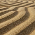 The image focuses on the rhythmic pattern of the sand s undulating form Royalty Free Stock Photo