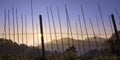 Image of foggy mountain and barbed wire wall in sunny day Royalty Free Stock Photo