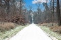 Image of a footpath through a wintry forest Royalty Free Stock Photo