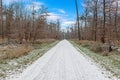 Image of a footpath through a wintry forest Royalty Free Stock Photo