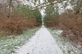 Image of a footpath through a wintry forest Royalty Free Stock Photo