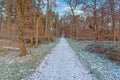 Image of a footpath through a wintry forest Royalty Free Stock Photo