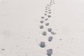 Footprints in Line on Fresh White Snow Royalty Free Stock Photo