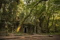 Landscape of a beautiful forest with a replica of a castle in Pontevedra, Spain