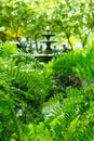 Image of fountain multi-tiered in garden shoot through green branches of tree Royalty Free Stock Photo