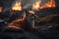 Image of fox exhausted in the midst of wildfires and smoke. Wildlife Animals. Illustration. Generative AI