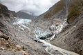 Franz Josef Glacier, New Zealand Royalty Free Stock Photo