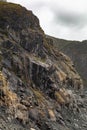 Franz Josef Glacier, New Zealand Royalty Free Stock Photo