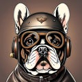 An image of a French bulldog wearing an old leather helmet for pilots.