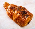 Chocolate snail croissant, french dessert at wooden surface Royalty Free Stock Photo