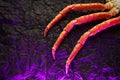 Image of fresh crab phalanges on dark background with copyspace in pink light