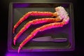 Image of fresh crab phalanges on dark background with knife in pink light