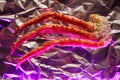 Image of fresh crab phalanges in pink light on cooking foil with copyspace