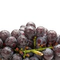 Image of fresh grape Royalty Free Stock Photo