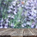 Image of front rustic wood boards and background of beautiful flowers field. bokeh lights overlay.ready for product display Royalty Free Stock Photo