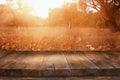 image of front rustic wood boards and background of fall leaves in forest Royalty Free Stock Photo