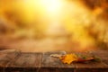 image of front rustic wood table with dry gold leaves and fall bokeh background. Royalty Free Stock Photo