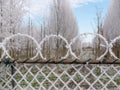 Image of frozen barbed wire in the winter Royalty Free Stock Photo