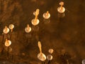 Image of frozen reeds. blurred outlines of moving water. suitable for background