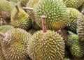 Durians