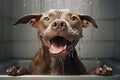 Image of funny picture of a pitbull dog taking a bath with soap bubbles. Pet. Animal. Illustration, Generative AI Royalty Free Stock Photo