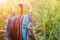 An image of a garden hose. Hose for irrigation Royalty Free Stock Photo