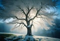 Large Twisted Tree Covered in Snow During Winter Royalty Free Stock Photo