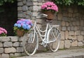 Quaint Old-Fashioned White Bicycle with Hydrangea Flowers in Front of Stone Wall Royalty Free Stock Photo
