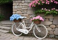 Quaint Old-Fashioned White Bicycle with Hydrangea Flowers in Front of Stone Wall Royalty Free Stock Photo