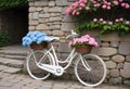 Quaint Old-Fashioned White Bicycle with Hydrangea Flowers in Front of Stone Wall Royalty Free Stock Photo