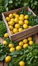 Crate of Juicy Lemons Surrounded by Green Leafy Vegetables in the Market