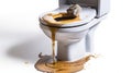 Clogged overflowing toilet bowl with rubber plumber isolated on Royalty Free Stock Photo