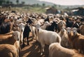 Livestock goats that are sold in market for Eid al-Adha sacrifice