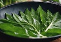 wok Pucuk cooked Ubi local black known Freshly tapioca\'s leaf commonly It