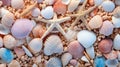 Abundance of Seashells on Sandy Beach