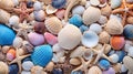 Endless Variations of Seashells on the Beach