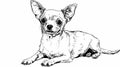 Adorable Chihuahua Dog Coloring Page Vector Outline for Creative Projects Royalty Free Stock Photo