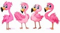 Adorable Flamingo Cartoon Posse Vector Illustration for Creative Projects Royalty Free Stock Photo