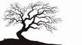 Detailed Silhouette Twisted Tree Vector Illustration for Design Projects Royalty Free Stock Photo